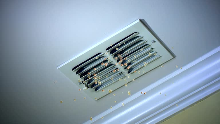 Best Emergency Air Duct Cleaning  in Tonto Basin, AZ