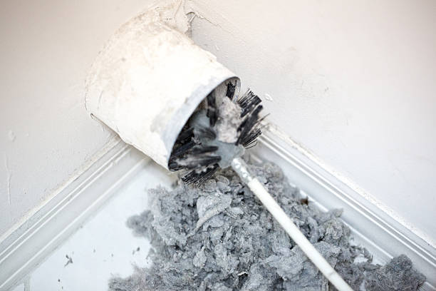 Best Local Air Duct Cleaning Services  in Tonto Basin, AZ