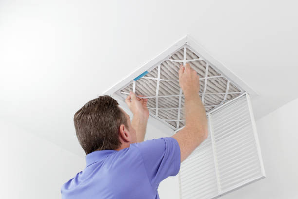 Best Affordable Duct Cleaning Services  in Tonto Basin, AZ